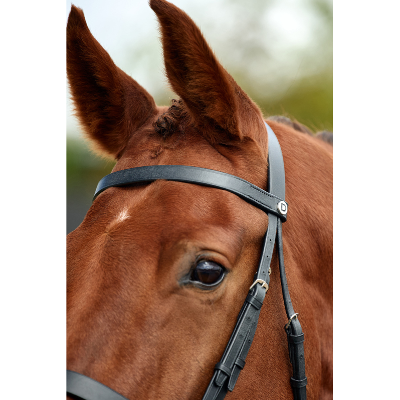 Dublin Flat Cavesson Bridle - Black-3