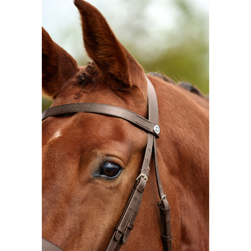 Dublin Flat Cavesson Bridle - Brown-3