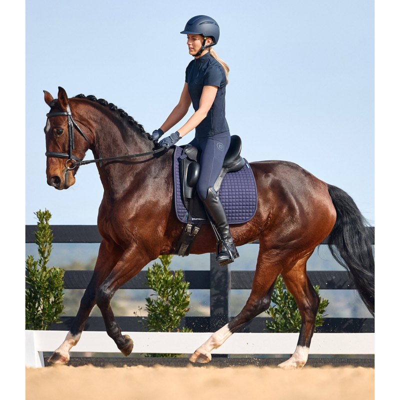 Dublin Padded Mono Crown Flash Bridle - Black-3