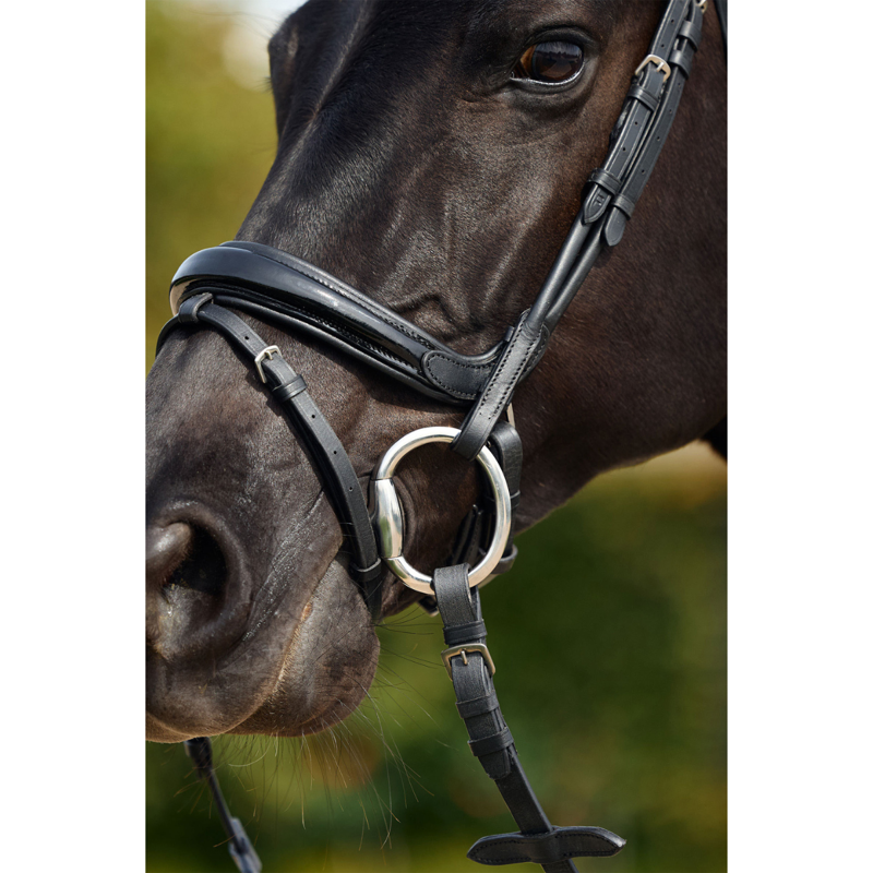 Dublin Padded Mono Crown Patent Flash Bridle - Black-3