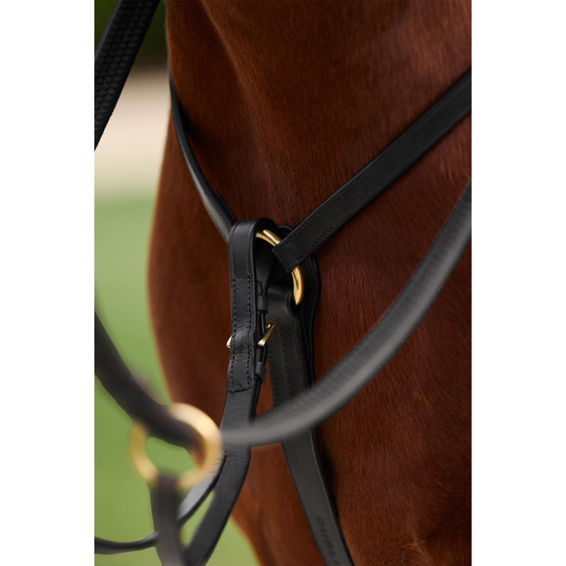 Dublin 3-Point Breastplate - Black-3