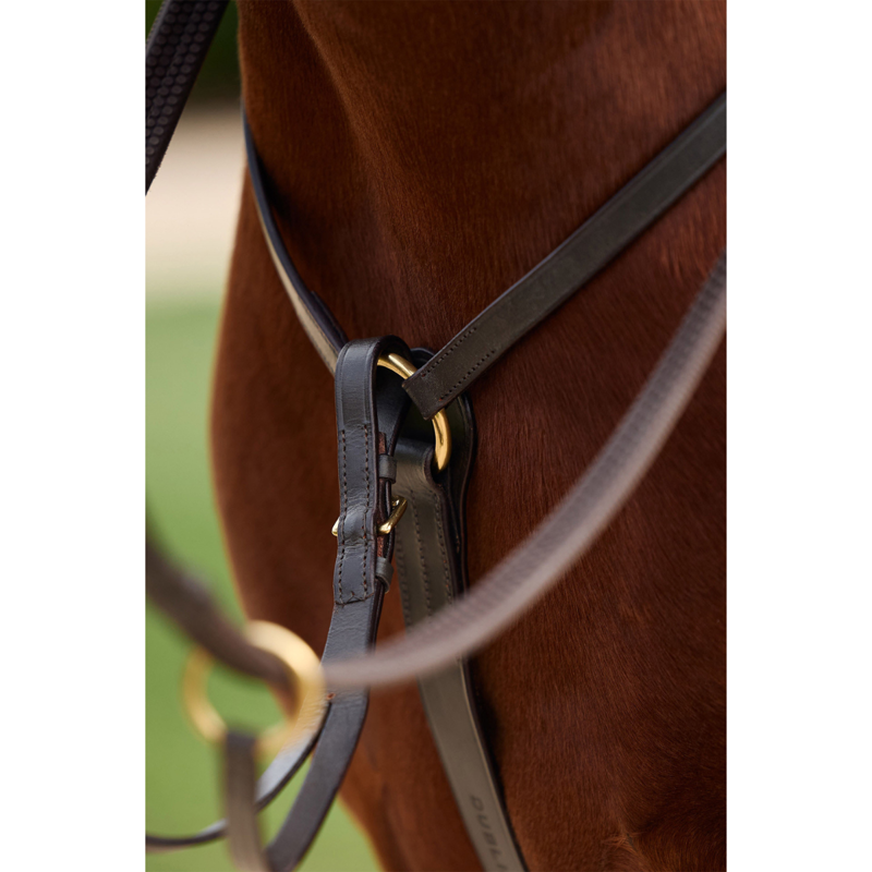 Dublin 3-Point Breastplate - Brown-3