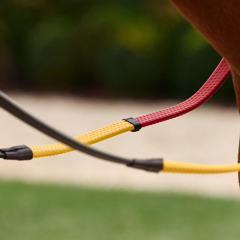 Dublin Rainbow Reins - Brown/Multi-3