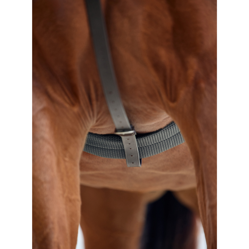 Dublin Running Martingale - Black-3