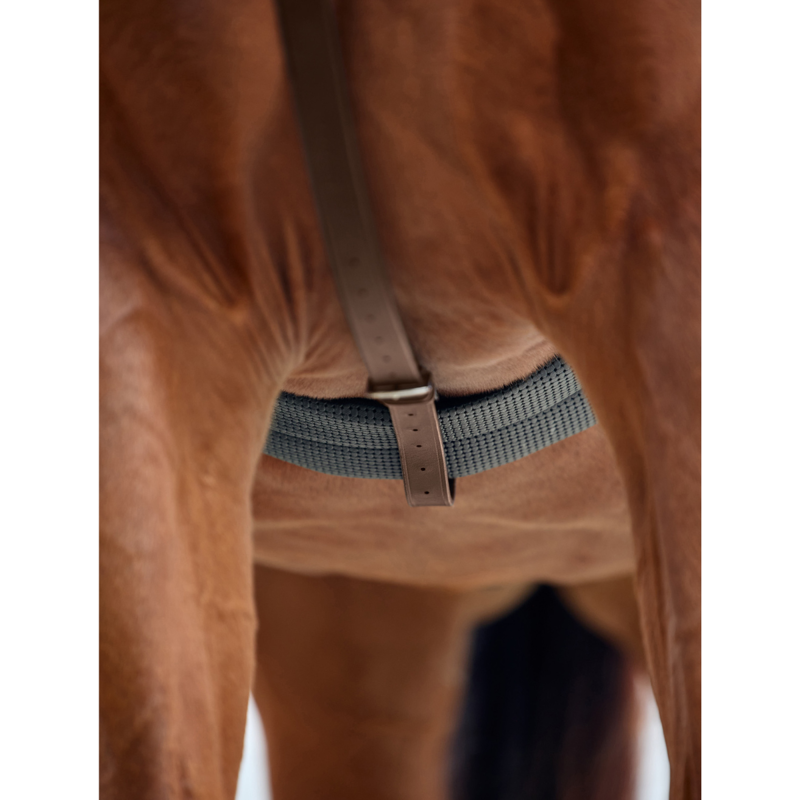 Dublin Running Martingale - Brown-3