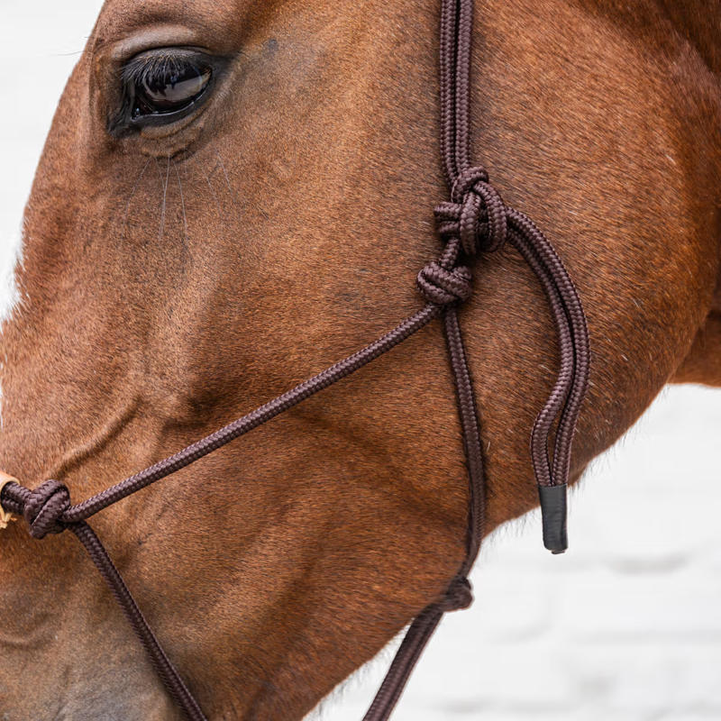 Grooming Deluxe Rope Halter - Brown-3