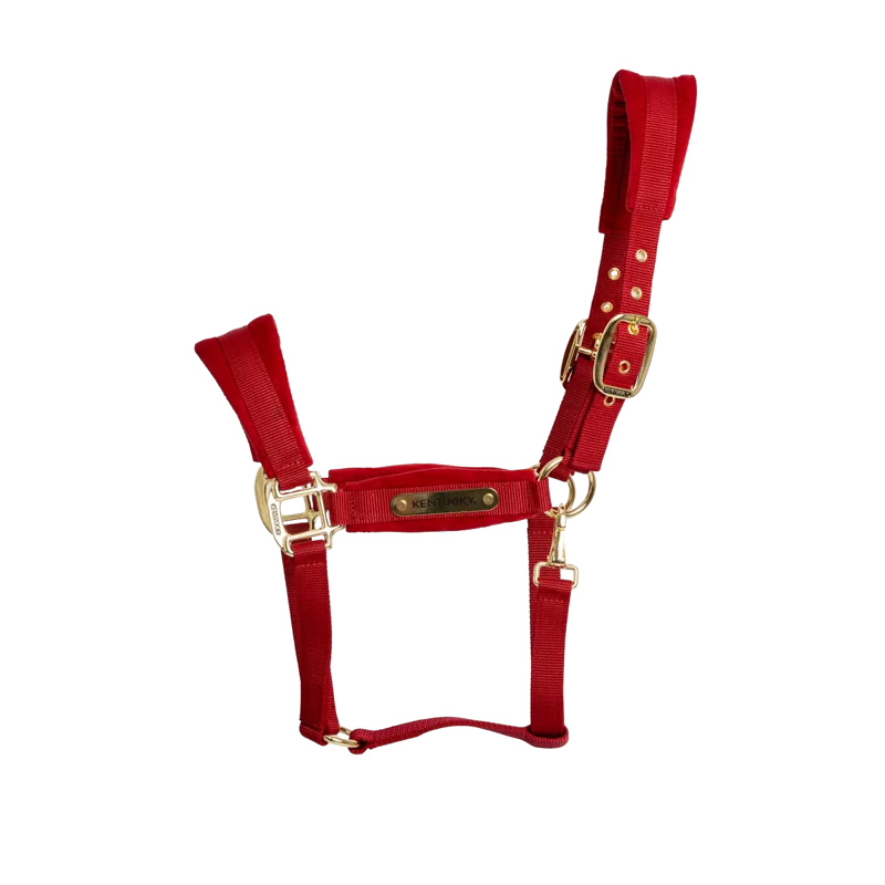 Kentucky Velvet Headcollar - Red-3