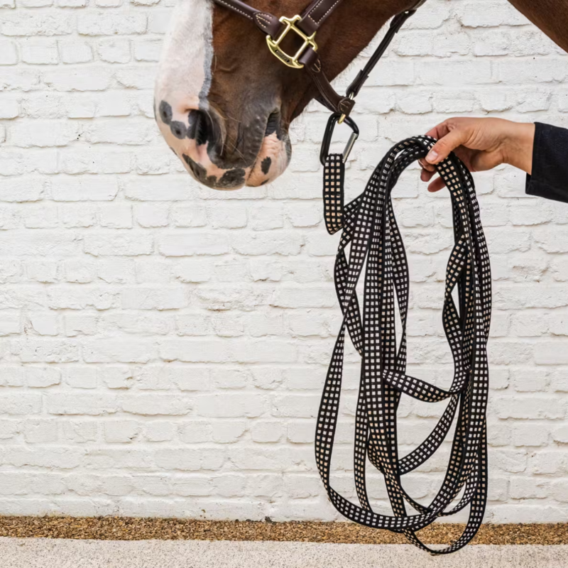 Kentucky Lunge line 8m - Black-3