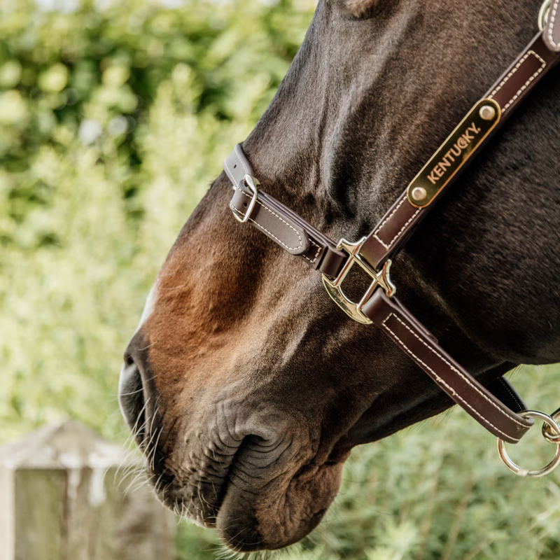Kentucky Flexible Leather Headcollar - Brown-3