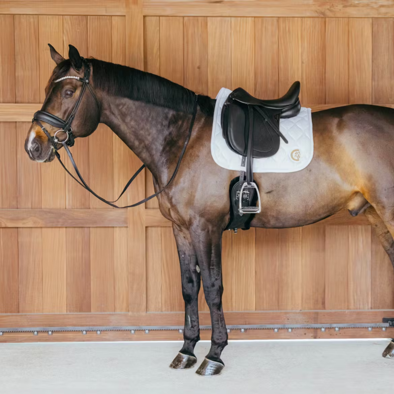 Kentucky Wave 3D Logo Dressage Saddlepad Full - White-3
