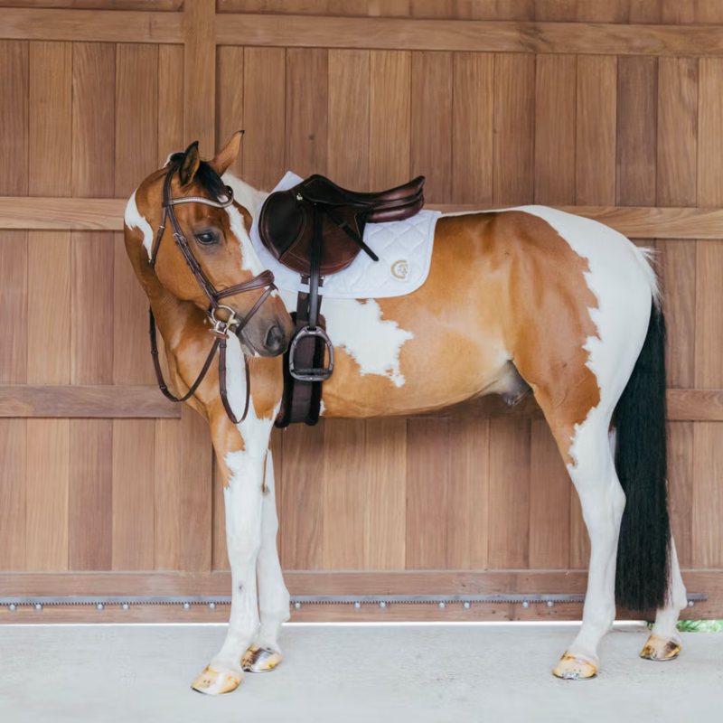 Kentucky Wave 3D Logo Show Jumping Saddlepad Full - White-3