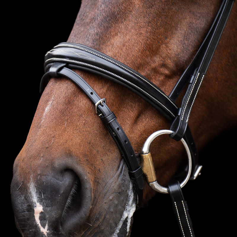 HV Polo Legacy Bridle - Black-3