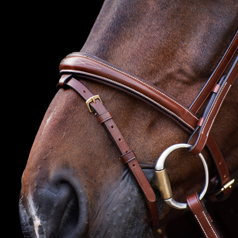 HV Polo Legacy Bridle - Brown-3