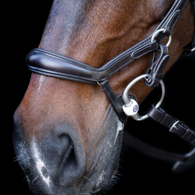 HV Polo Legacy Anatomical Deluxe Bridle - Chocolate Brown-3