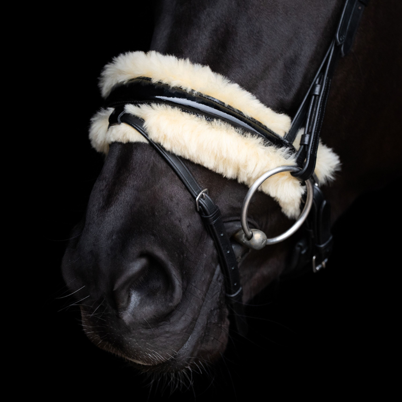 HV Polo Kate Bridle - Black-3