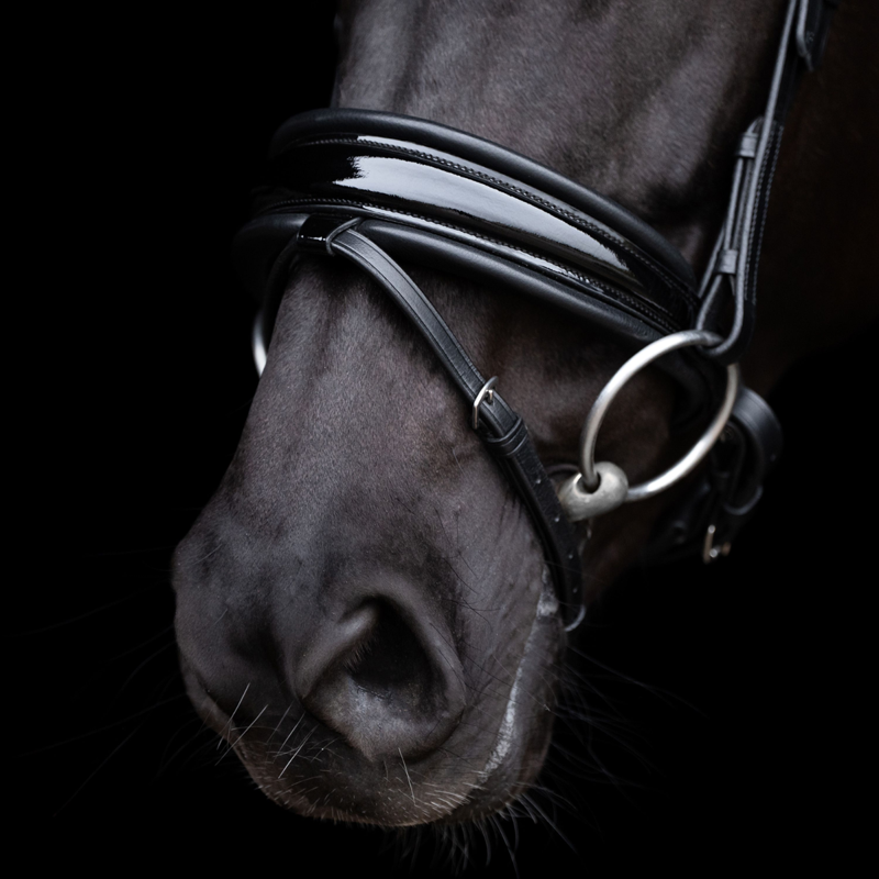 HV Polo Diana Bridle - Black-3