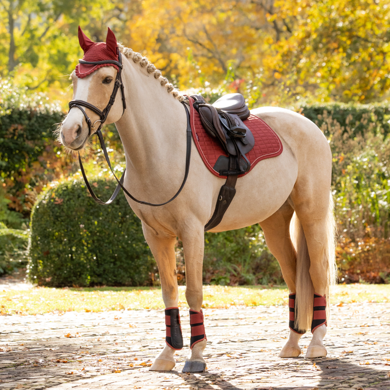 LeMieux Classic Fly Hood - Russet-5