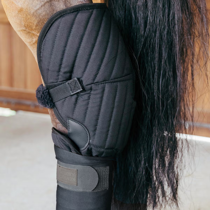 Kentucky Transport and Stable Bandage Pad with Hock Protection - Black-2