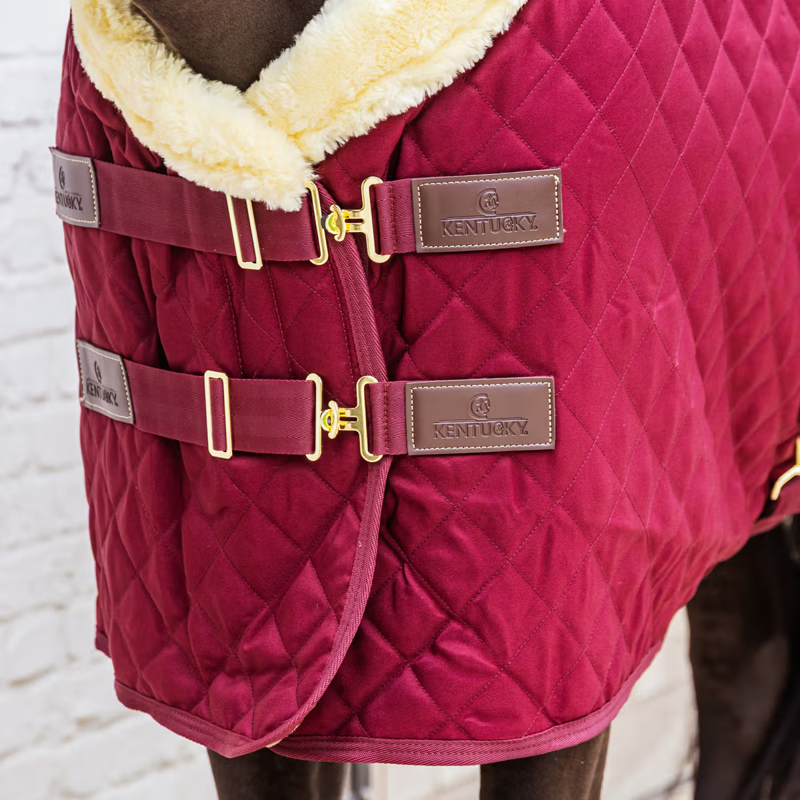 Kentucky Show Rug - Bordeaux-3