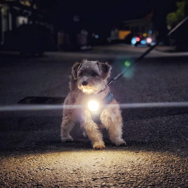 Meolinq LightPlus-2