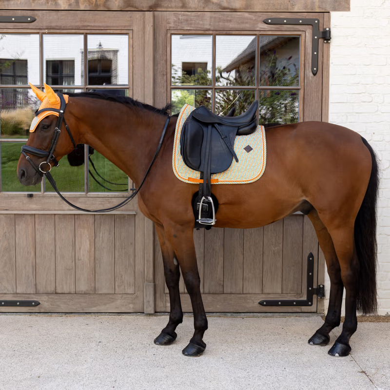 Kentucky Velvet Cubes Printing Dressage Saddlepad - Colorful-3