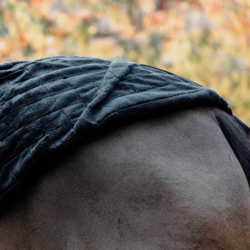 Kentucky 0g Stable Rug - Black-3