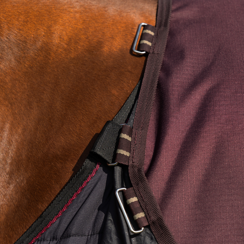 LeMieux Arika Ripstop 100g Turnout Rug - Bramble-4
