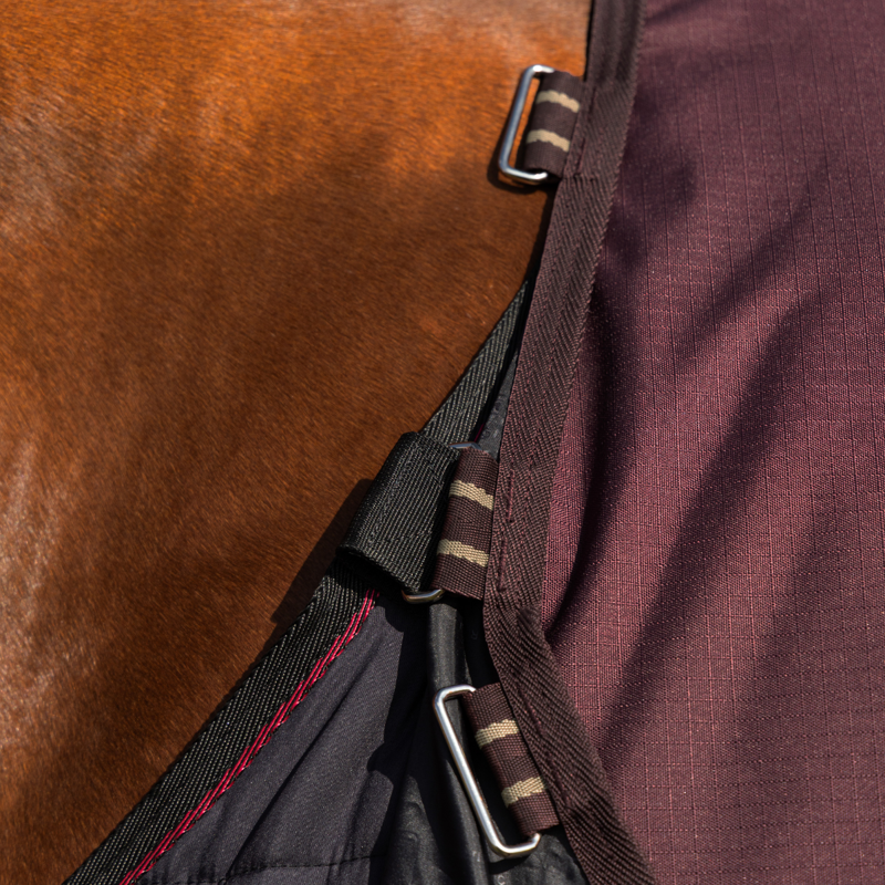 LeMieux Arika Ripstop 200g Turnout Rug - Bramble-3