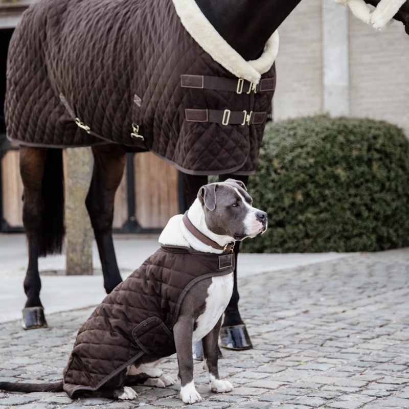 Kentucky Original Dog Coat - Brown-1