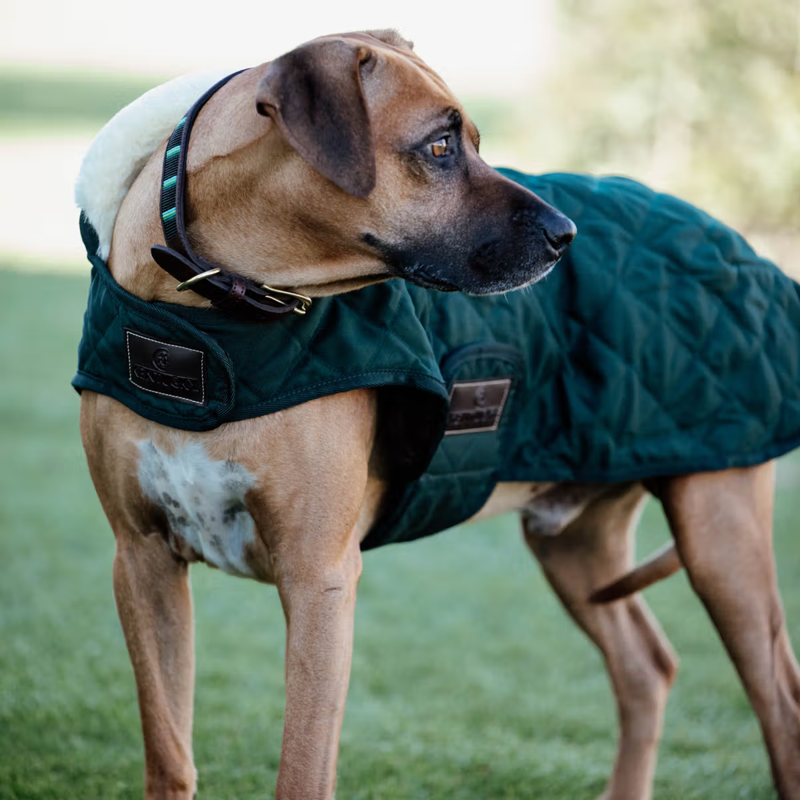 Kentucky Original Dog Coat - Dark Green-1