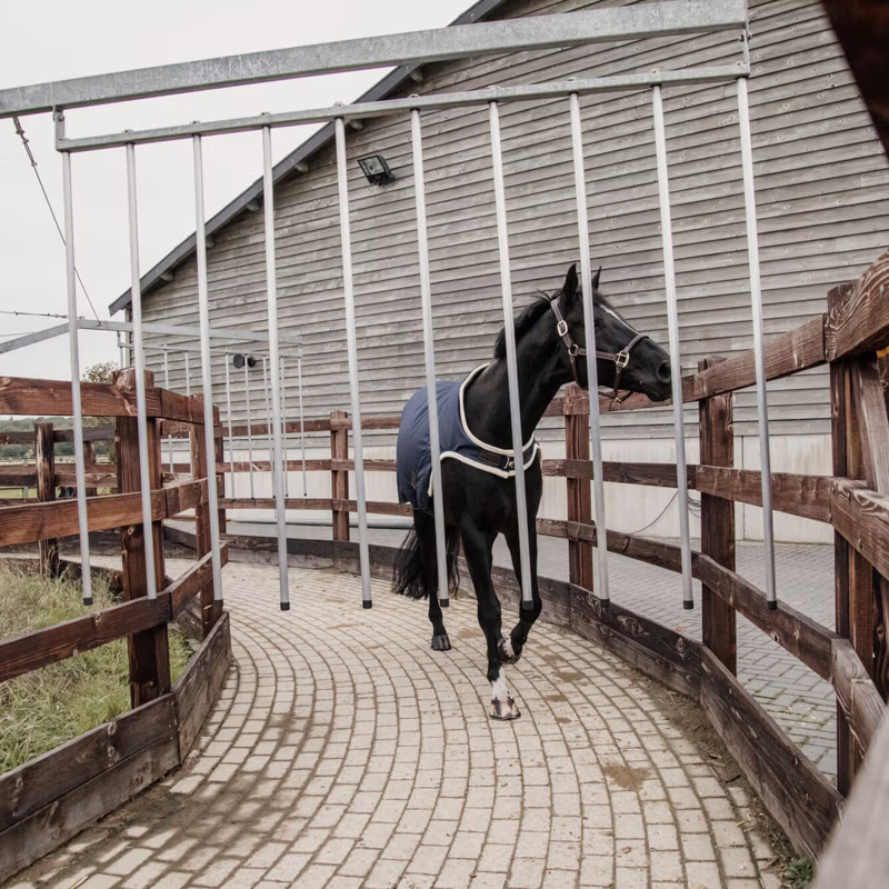 Kentucky 160g Waterproof Walker Rug - Navy-3