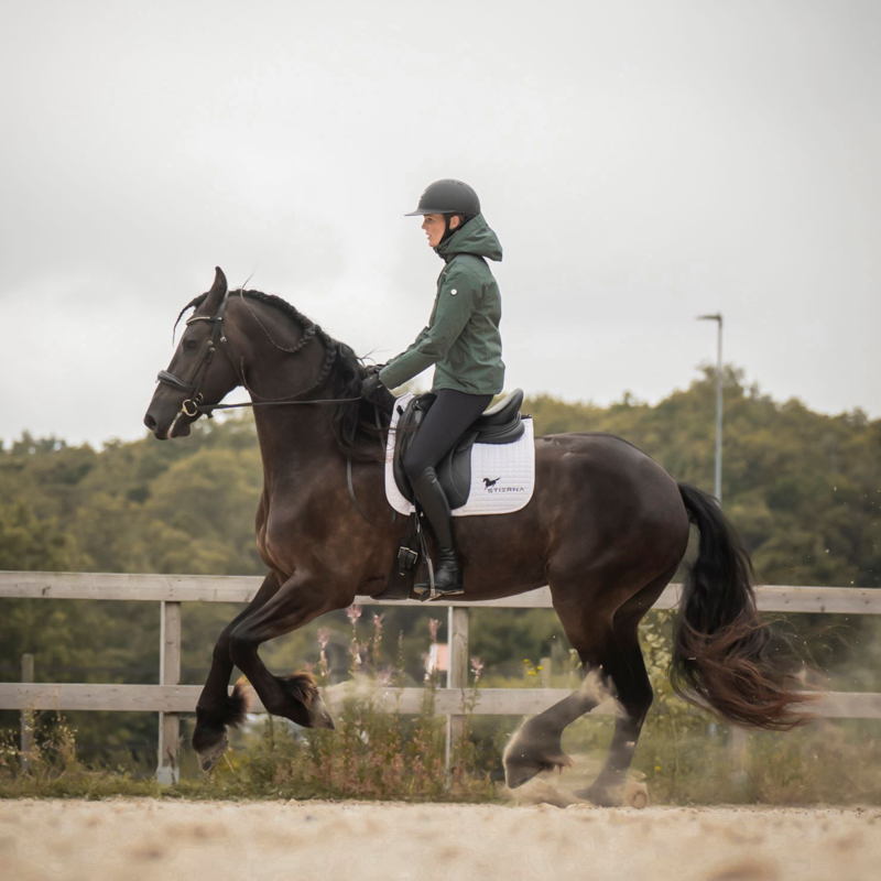 Stierna Storm Rain Jacket - Ivy-3