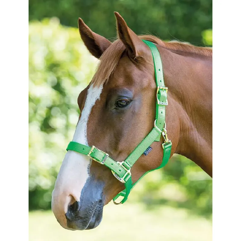 Shires Pro Adjustable Headcollar - Green