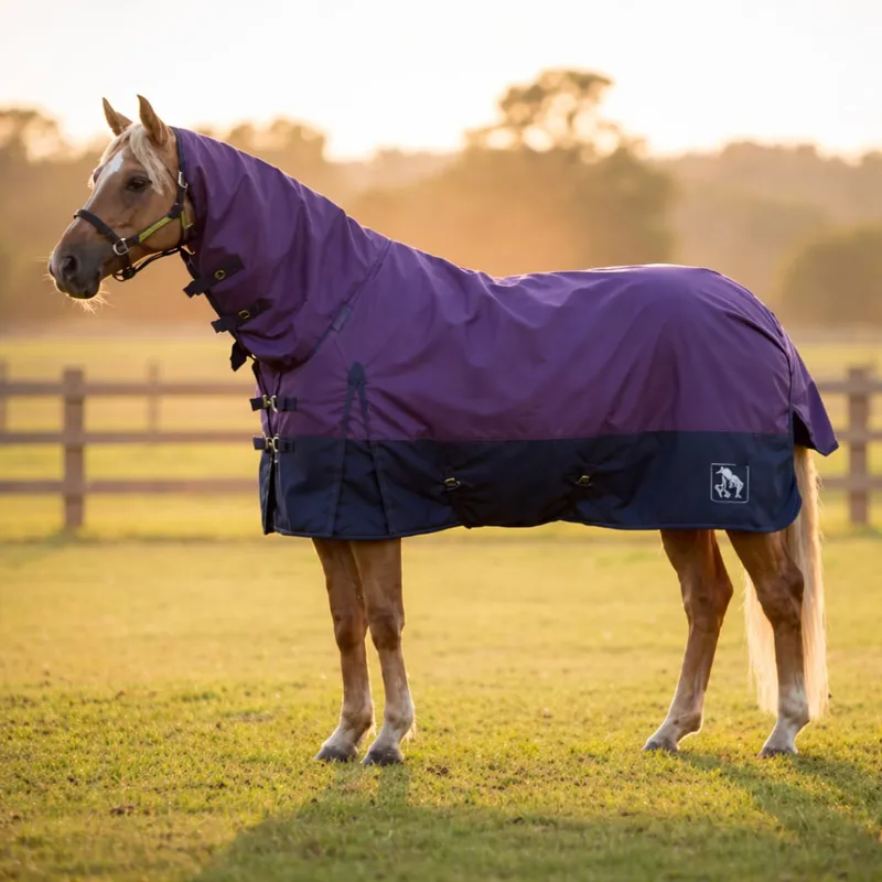 John Whitaker 50g Combo Turnout Rug - Purple/Navy-9