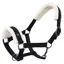Imperial Riding Bandit Headcollar - Black
