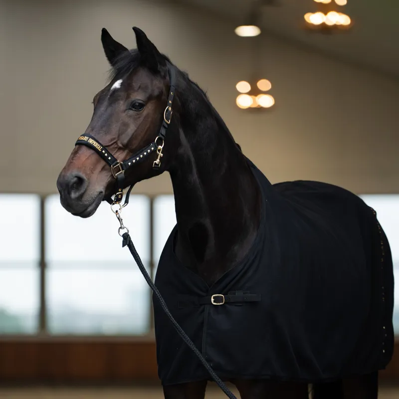 Imperial Riding Devil Headcollar - Black