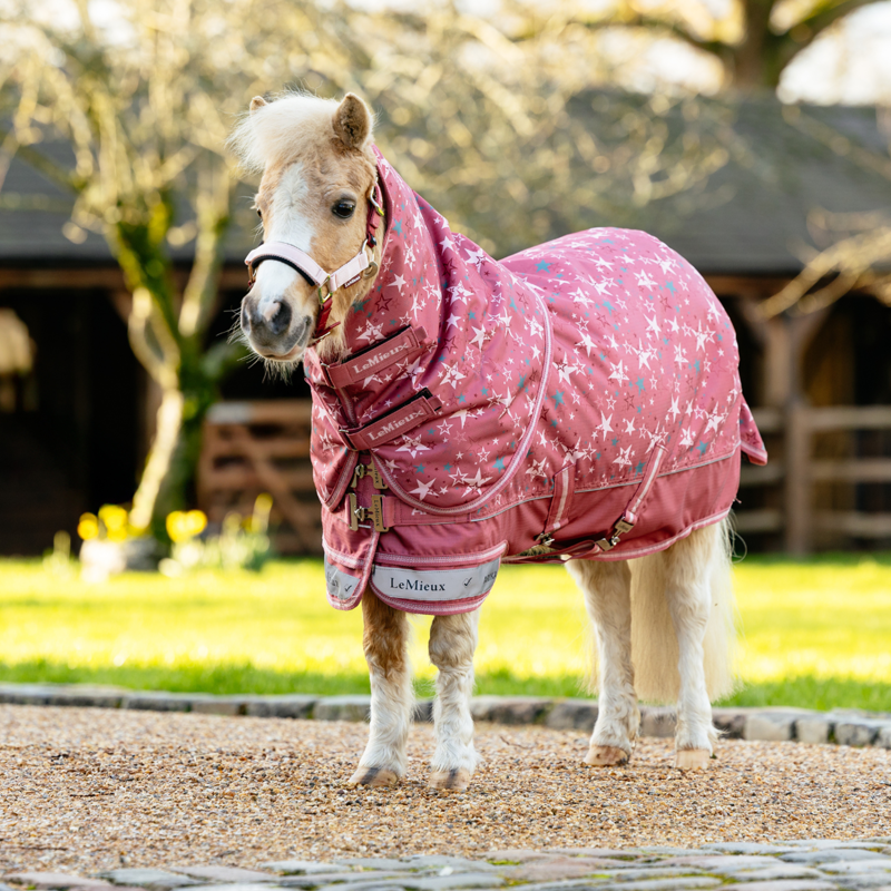 LeMieux Arika Star Turnout Rug 100g - Spiced Earth-4