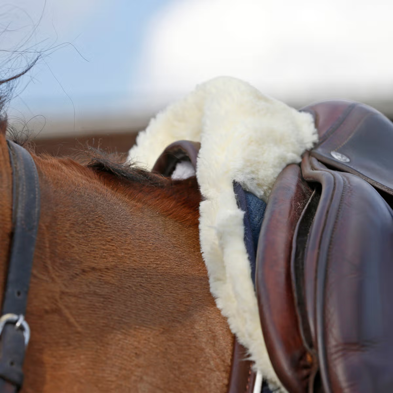 Kentucky Sheepskin Half Pad Absorb - Navy-3