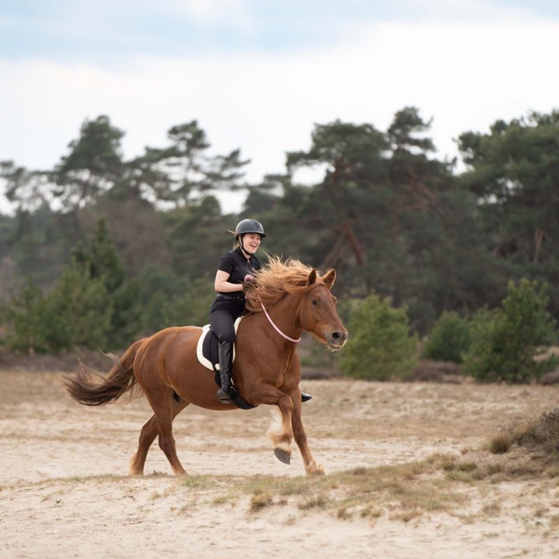 Imperial Riding Free Ride Neck Loop-4