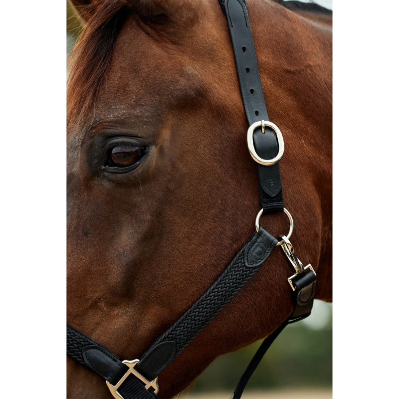 Dublin Braided Leather Headcollar - Black-4