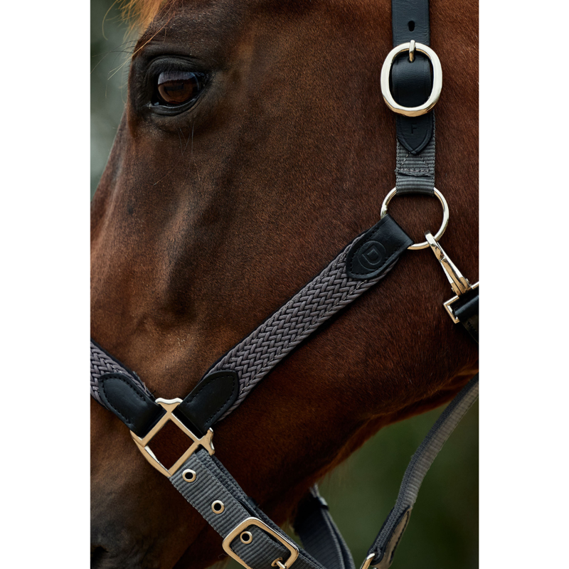 Dublin Braided Leather Headcollar - Charcoal-4