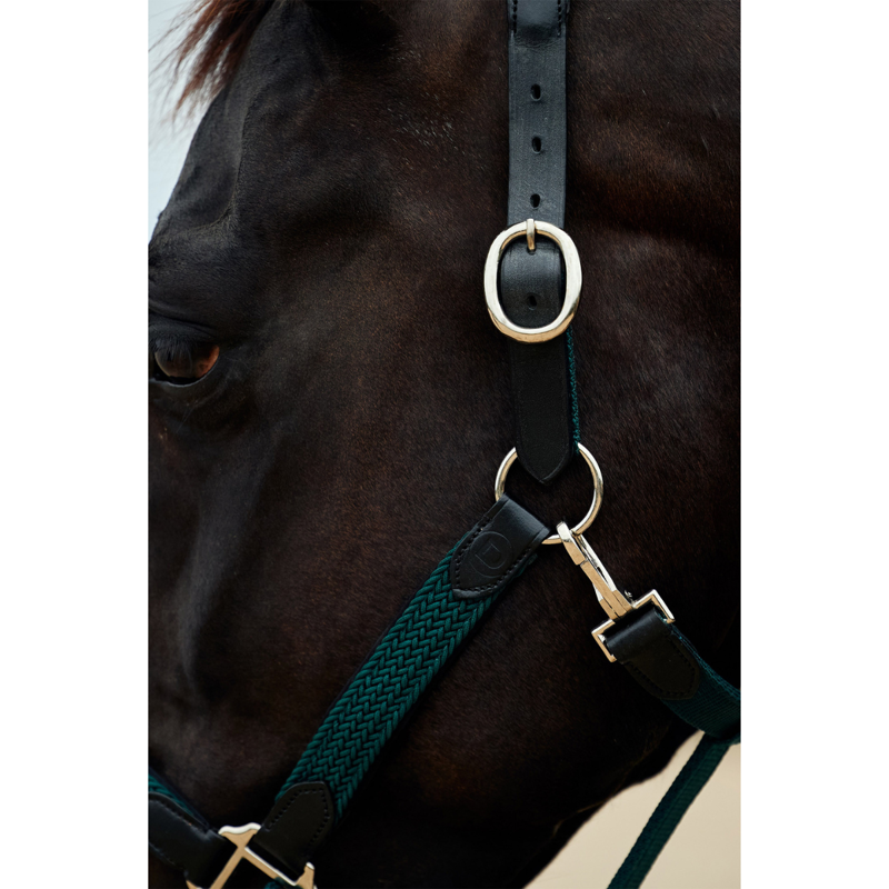 Dublin Braided Leather Headcollar - Hunter Green-4