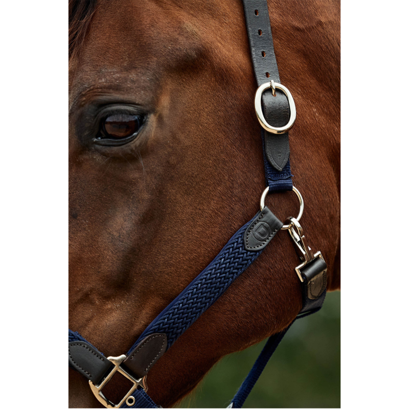 Dublin Braided Leather Headcollar - Navy-4