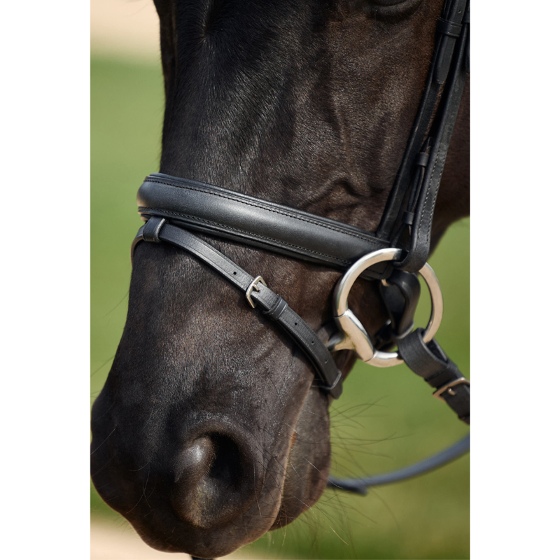 Dublin Padded Comfort Crown Crystal Flash Bridle - Black-4