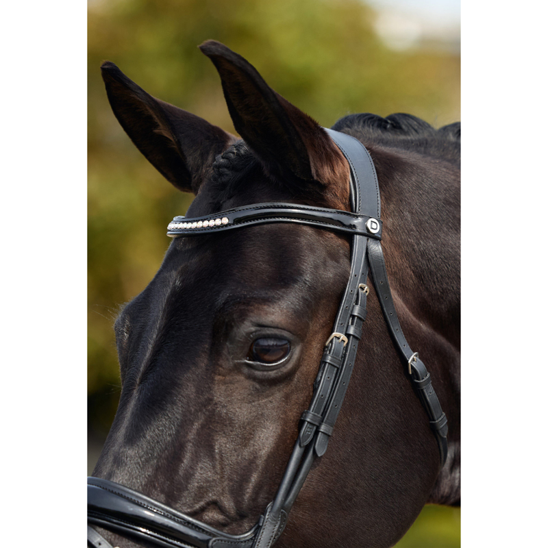 Dublin Padded Mono Crown Patent Flash Bridle - Black-4