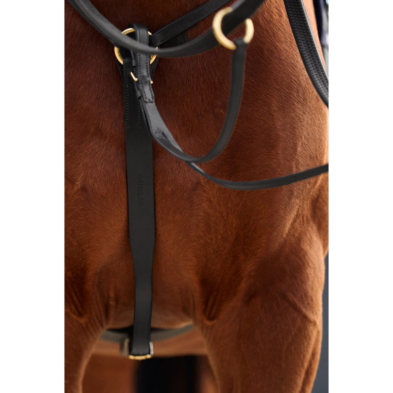 Dublin 3-Point Breastplate - Black-4