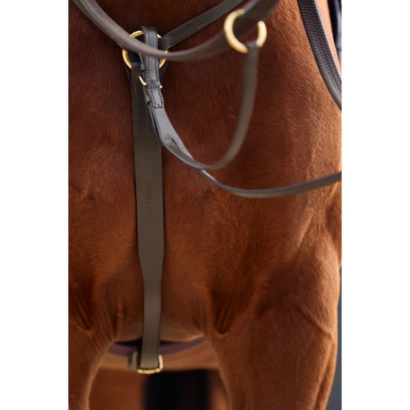 Dublin 3-Point Breastplate - Brown-4