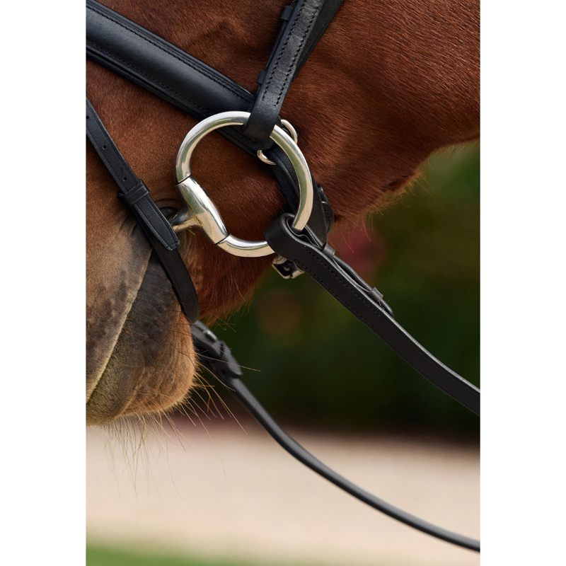 Dublin Rainbow Reins - Black/Multi-3