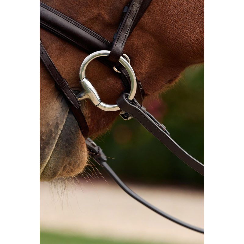 Dublin Rainbow Reins - Brown/Multi-4