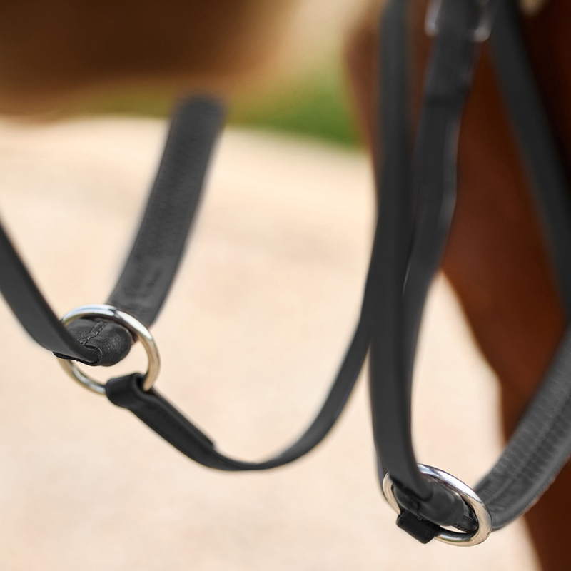 Dublin 5-Point Event Breastplate - Black-4